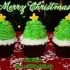 Merry Christmas 2011 copy