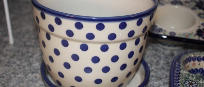 Pot for plants