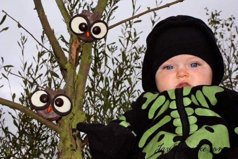 Dark Chocolate Spiced Pumpkin Owl Cupcakes by JavaCupcake-4