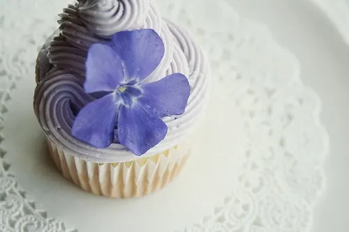 Tips for taking Beautiful Cupcake Photos | JavaCupcake.com