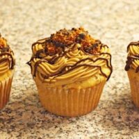 Samoa Cupcakes | The JavaCupcake Blog https://javacupcake.com