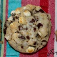 Mini S’mores Cookies