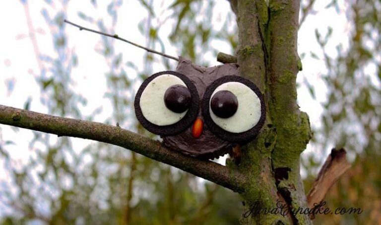 Dark Chocolate Pumpkin Spice Cupcakes and an Owl Tutorial