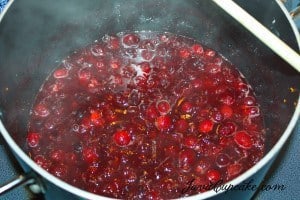 Homemade Cranberry Sauce - JavaCupcake