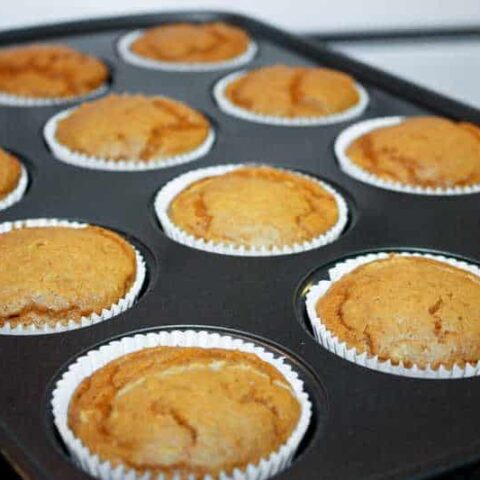 How Not to Make Pumpkin Spice Pudding Cupcakes