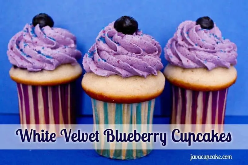 White Velvet Blueberry Cupcakes by JavaCupcake.com