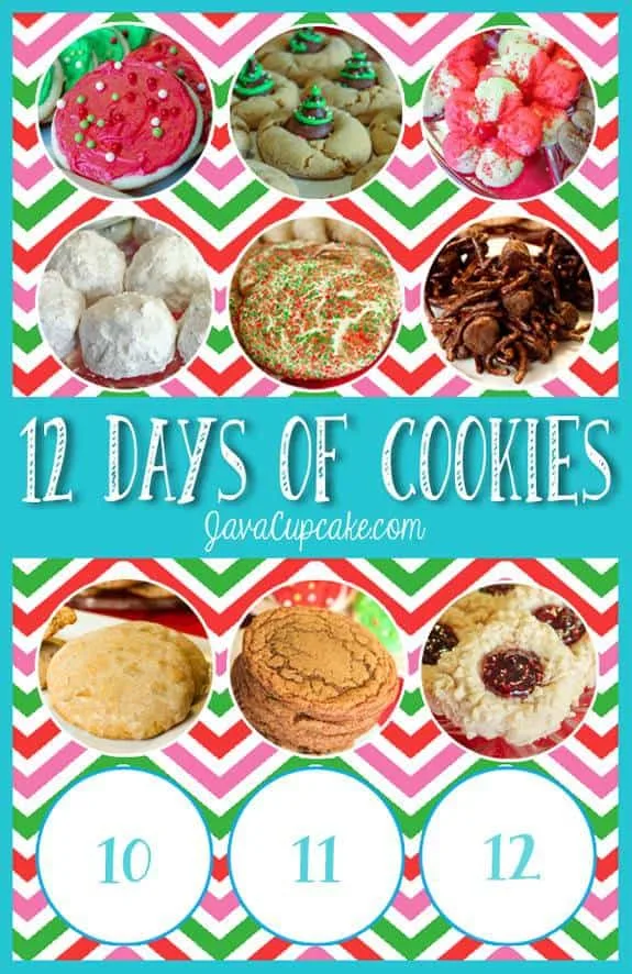 Day 9 of 12 Days of Cookies | JavaCupcake.com