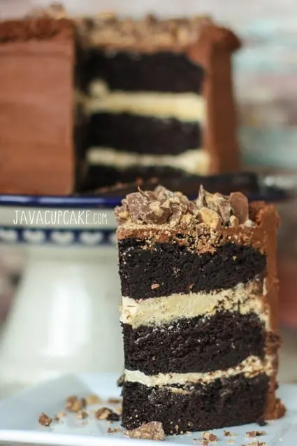 Chocolate Peanut Butter Cake | JavaCupcake.com