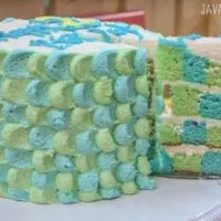 {Tutorial} Toy Story themed vanilla Checkerboard Cake frosted with vanilla buttercreaming decorated using the Petal Technique | JavaCupcake.com