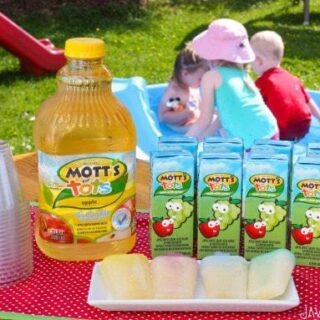 A Mott’s for Tots Play Date