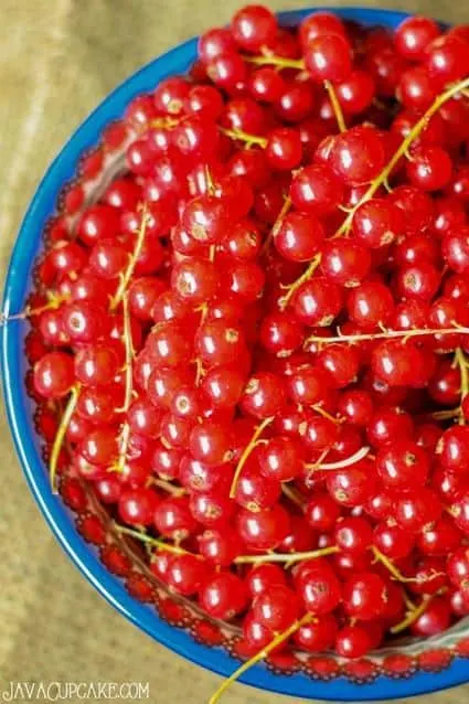 The History of Red Currants plus a tutorial on how to destem them. #RedCurrantWeek | JavaCupcake.com