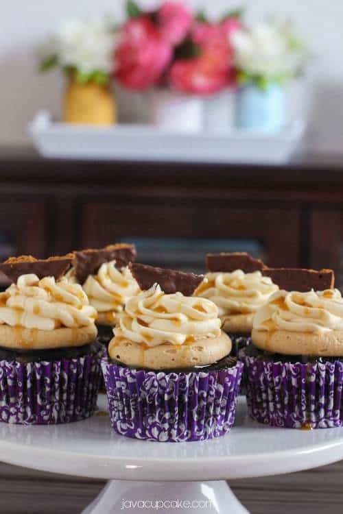 The Most Epic Cupcakes Ever!  Guinness and Chocolate Cupcakes topped with Biscoff Buttercream, Bailey's Irish Cream Buttercream, Caramel Drizzle and a Chocolate dipped Bisocoff Cookie! | JavaCupcake.com