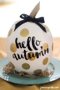 DIY Painted Pumpkins | JavaCupcake.com