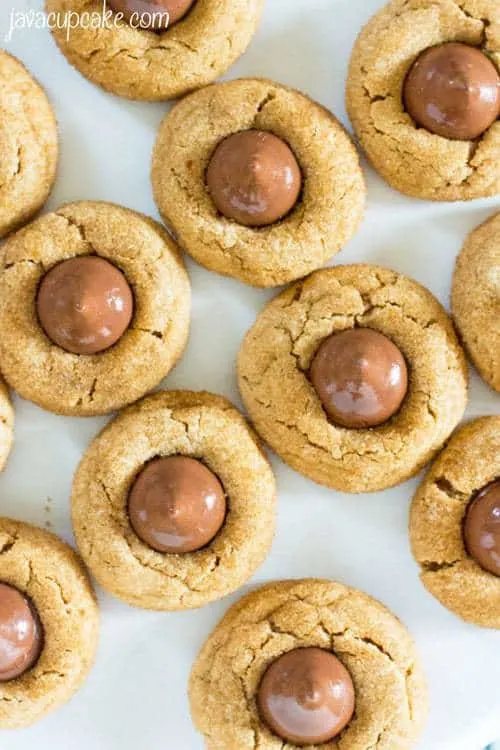 Deluxe Cookie Butter Blossoms - A cookie butter based dough rolled in turbinado sugar and topped giant hazelnut filled chocolates. | JavaCupcake.com