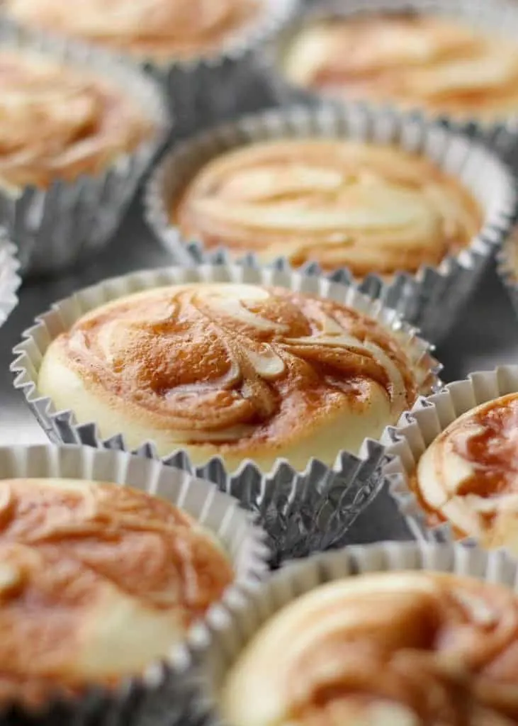 Caramel Swirl Cheesecake Cupcakes by Barefeet in the Kitchen for JavaCupcake.com
