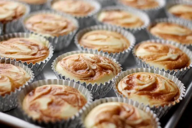 Caramel Swirl Cheesecake Cupcakes by Barefeet in the Kitchen for JavaCupcake.com