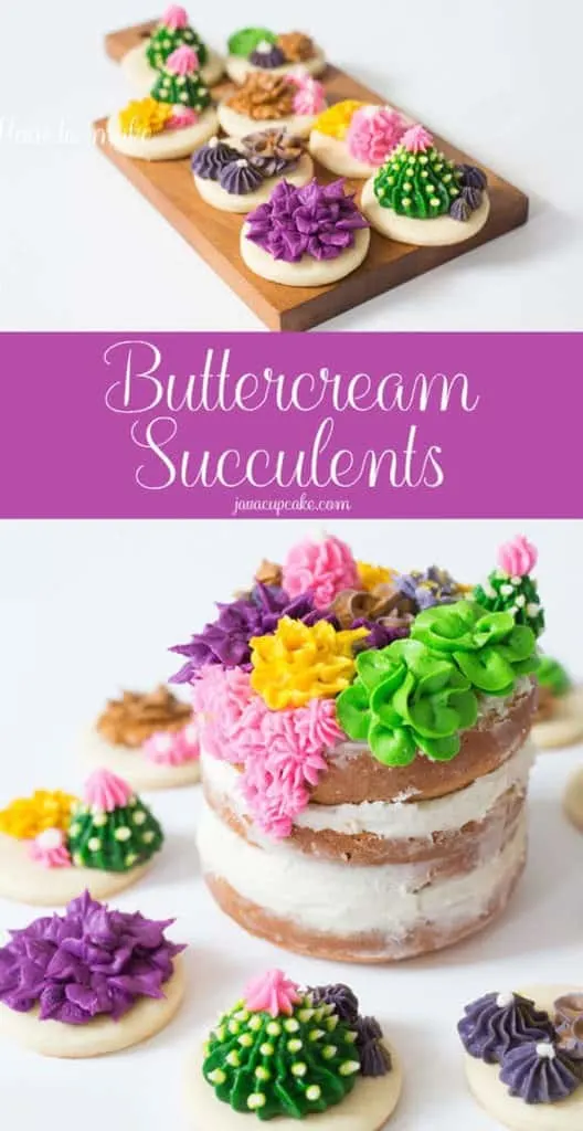 How to make Buttercream Succulents | javacupcake.com