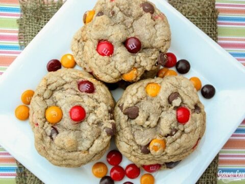 Cinnamon-Chocolate-Chip-MM-