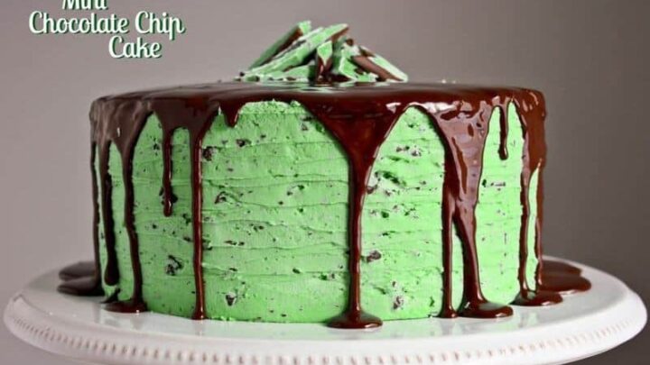 Easy Chocolate Peppermint Cake - Confessions of a Baking Queen