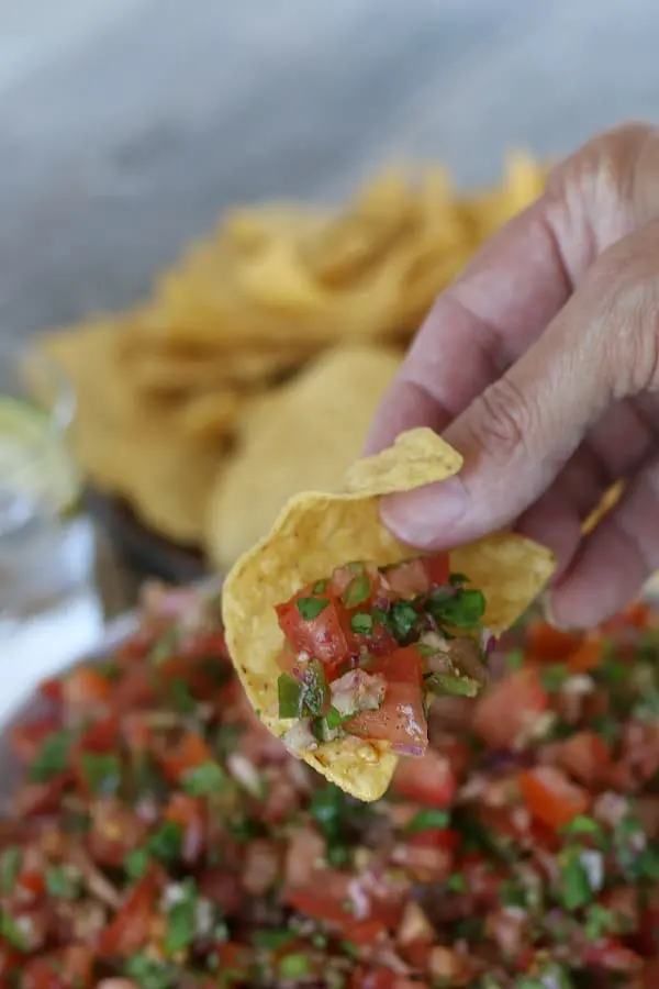 chip with homemade tomato salsa