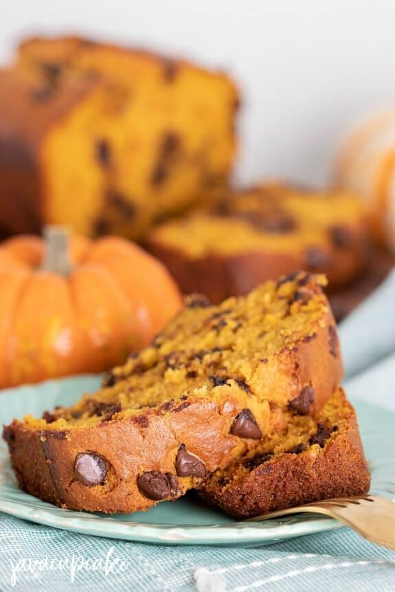 Moist Pumpkin Chocolate Chip Bread Slice with Chocolate Chips